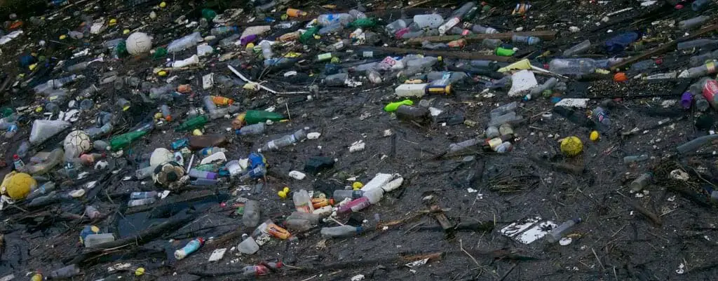 Pile of garbage that contains Biodegradable and Non Biodegradable items